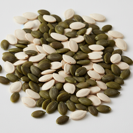 Premium Pumpkin Seeds