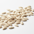 Premium Melon Seeds