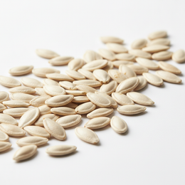 Premium Melon Seeds